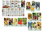 Gestaltung der Rezeptfolder für das Obst & Gemüse-Referat der CMA - CMA Centrale Marketinggesellschaft der Deutschen Agrarwirtschaft, Bonn